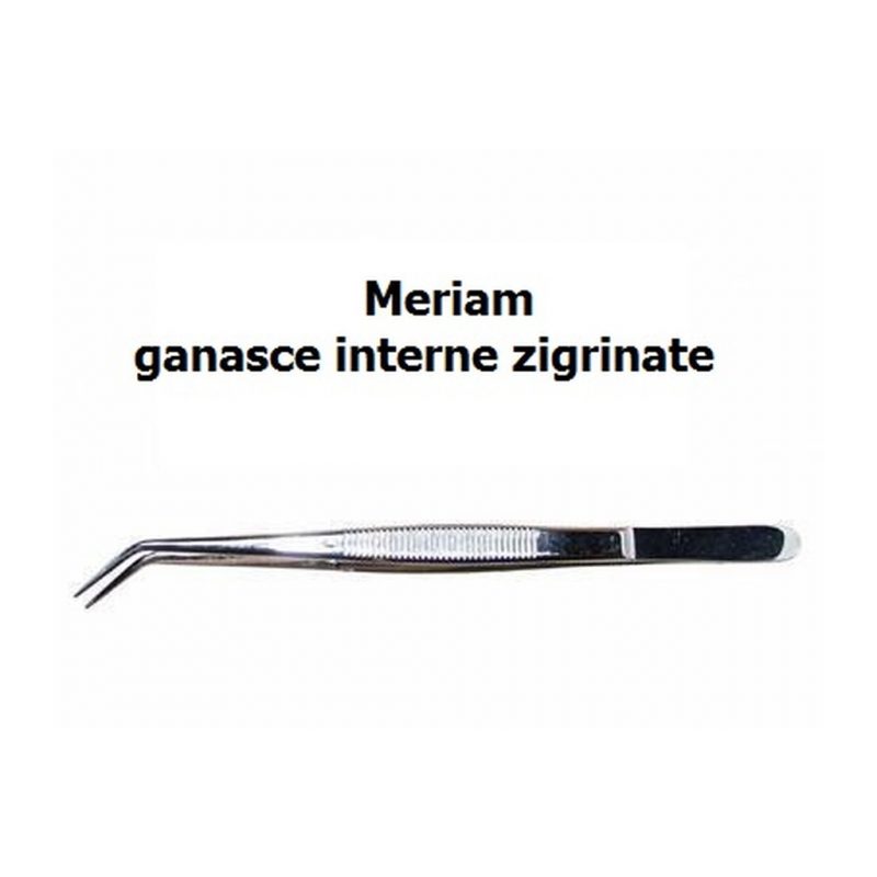 Exam Pack Basic Diagnostic Instruments kit in Dentistry Dental Meriam Tweezers