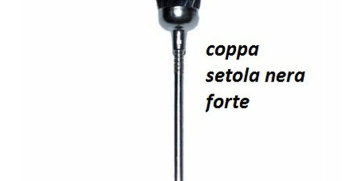 coppasetolanera