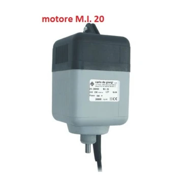 motoreMI20