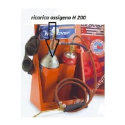 ricaricaossigen