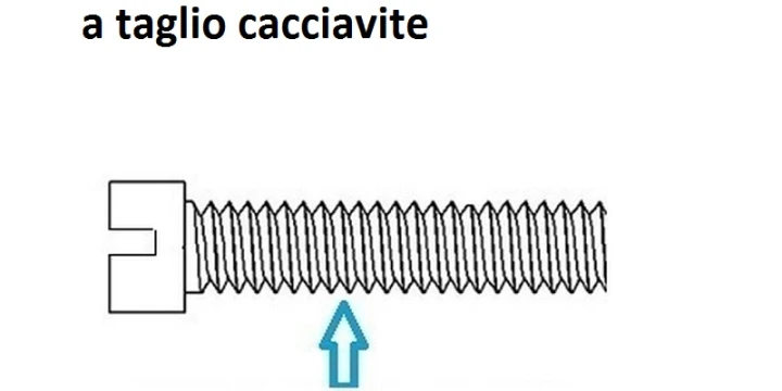 testa tonda