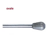 ovale-1