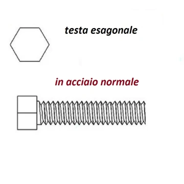 va testa exag normale